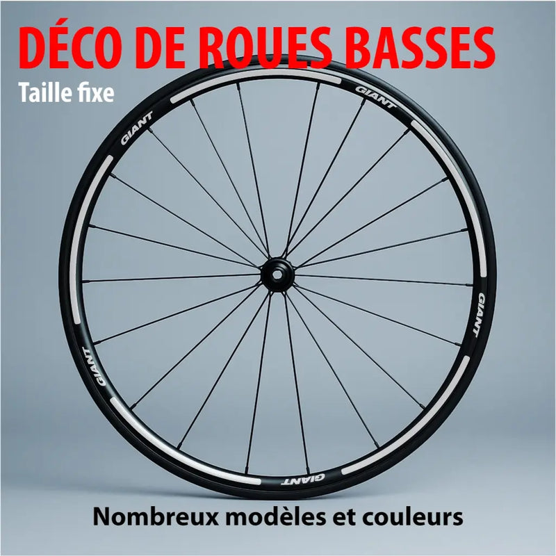 Décos de roues basses