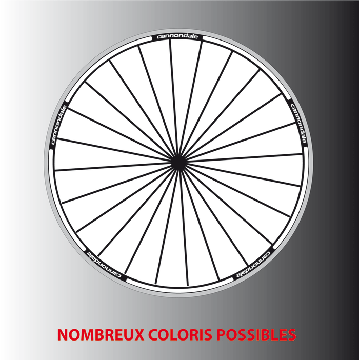 Liserés Stickers Autocollants Cannondale jantes hautes ou basses
