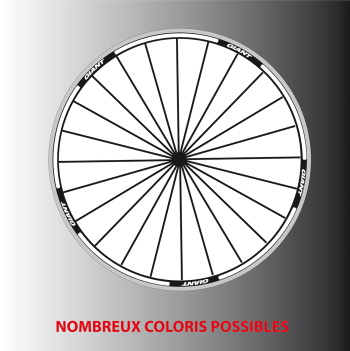 Liserés Stickers Autocollants roues Giant jantes hautes ou basses